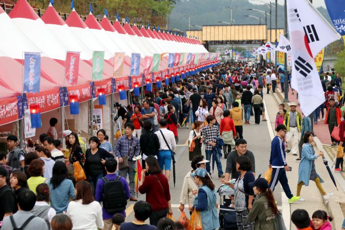 청원생명축제. 청주시 제공