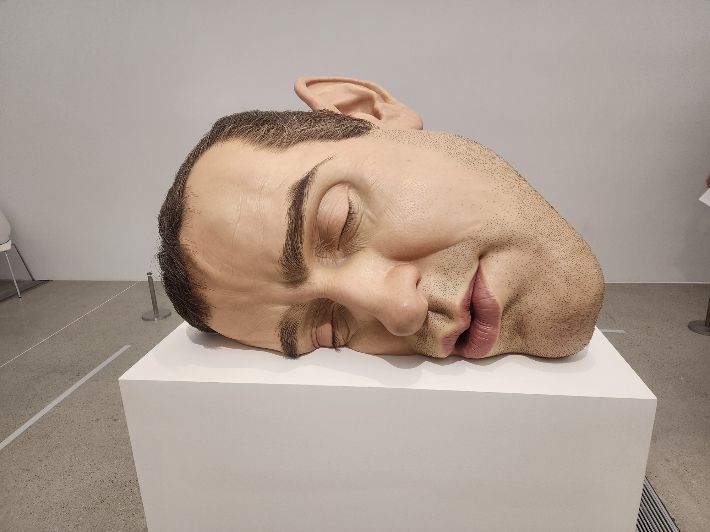 전시장에서 가장 먼저 만나는 작품은 '마스크 II'(2002년작)다. 실제 인간 얼굴의 4배 크기인 이 작품은 수염 자국까지 정교하게 재현해 살아 있는 듯 하지만 뒷면에서 보면 텅 비어있다. 곽인숙 기자