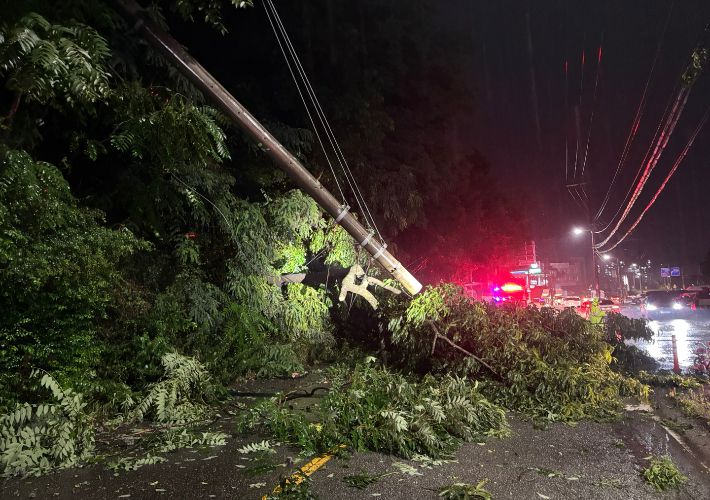 충북소방본부 제공