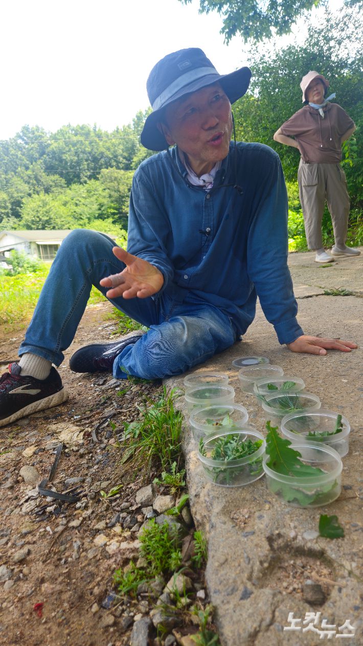 이강운 박사가 1시간 여 만에 채집한 희귀 곤충 애벌레. 이강운 박사는 산황산이 최상위 숲에 속하는 극상림으로 천이과정이 일어나고 있다며, 생태계의 주춧돌종인 다양한 곤충들이 서식하고 있다며 감탄했다. 송주열 기자