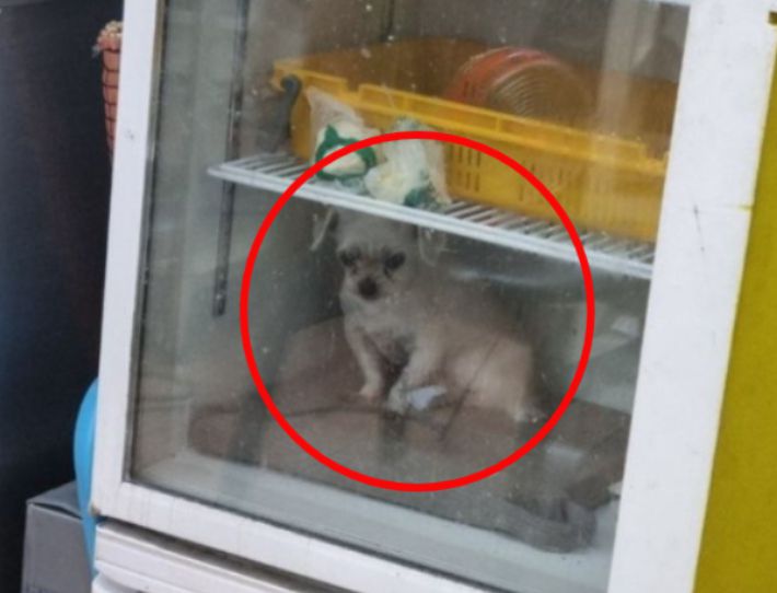 온라인 커뮤니티 캡처