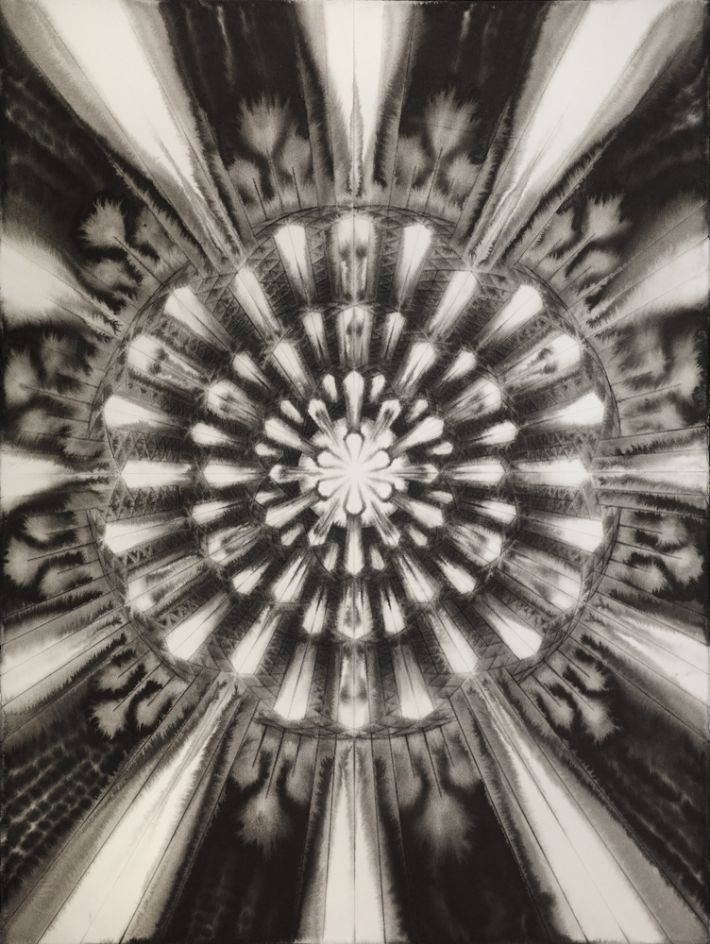 남궁환, '003)Entoptima', 종이 위에 먹, 76x56cm(2019). 아트파크 제공