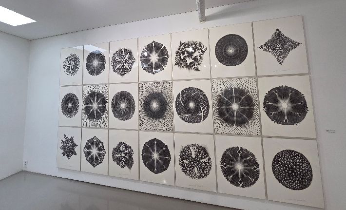 프랑스를 기반으로 서울울 오가며 활동 중인 남궁환(50) 작가의 개인전 'Entoptima: 별의 기억'이 서울 종로구 삼청로 아트파크에서 열리고 있다. 곽인숙 기자