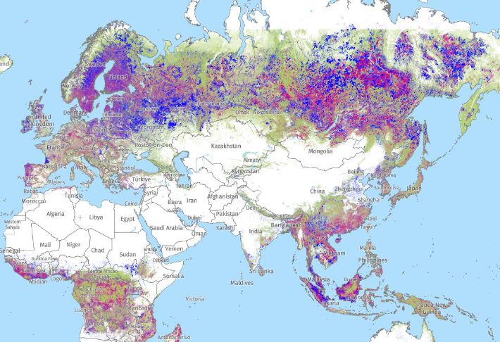 전 세계 산림면적. 세계자연자산 플랫폼 '글로벌 포레스트 워치(GFW)' 캡처