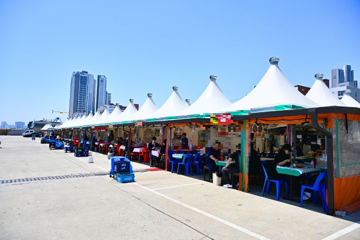 속초 오징어 난전. 속초시 제공