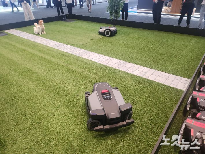 로보락의 로봇 잔디깎이. 베를린=박성완 기자