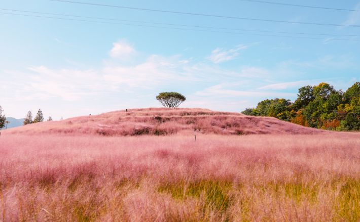 합천 신소양체육공원. 경남도청 제공