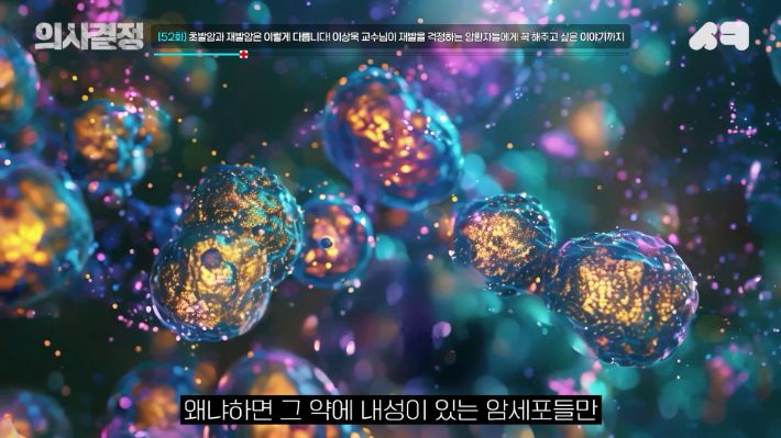 2025 의사결정 추석특집 '암 몰아보기' 편 유튜브 캡처