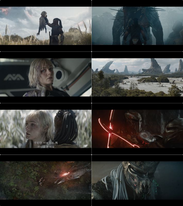 외화 '프레데터: 죽음의 땅' 메인 예고편 스틸. 월트디즈니 컴퍼니 코리아 제공