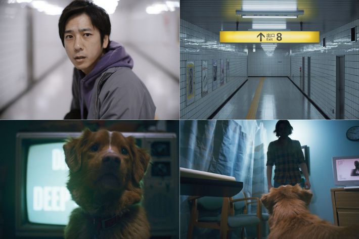 외화 '8번 출구'와 '굿 보이' 스틸컷. NEW, 찬란 제공