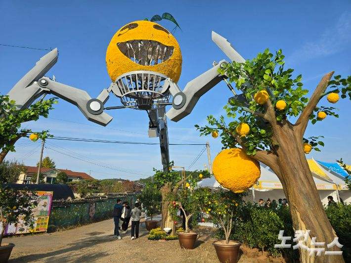축제장 입구 높이 9m 대형 유자 조형물. 고영호 기자