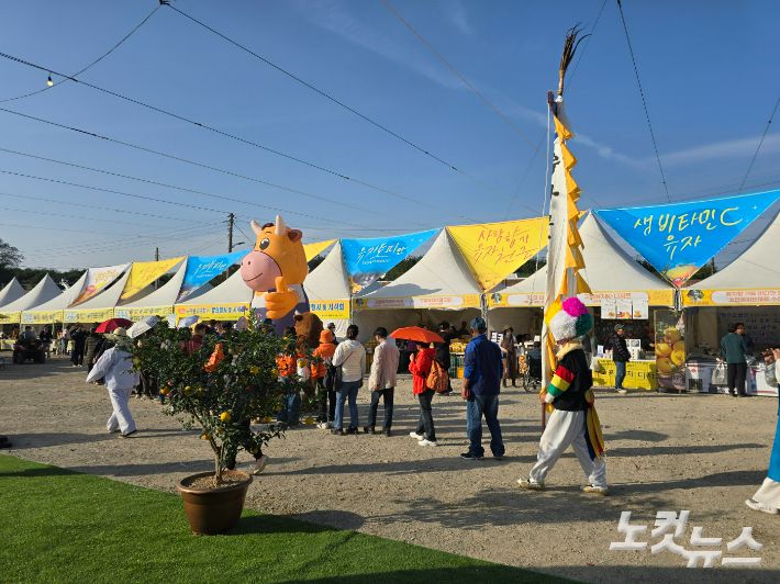 유자축제장 체험 부스 앞에 줄을 서 있다. 고영호 기자