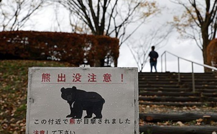 일본 아키타현 한 공원에 설치된 곰 출몰 주의 안내판. 연합뉴스
