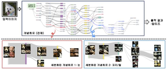 KAIST 연구팀에서 제안한 개념회로에 대한 개요. KAIST 제공