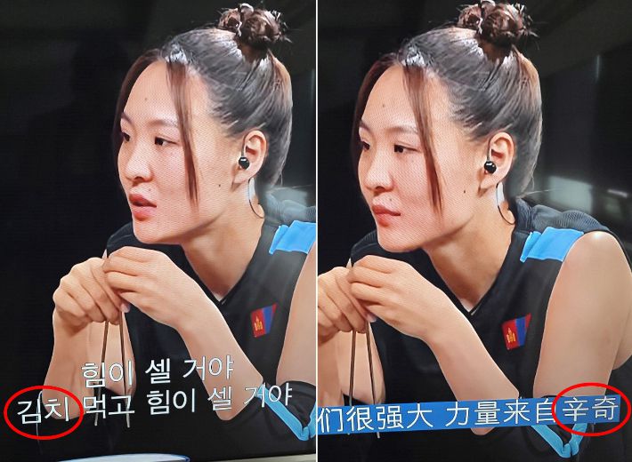 서경덕 교수 제공