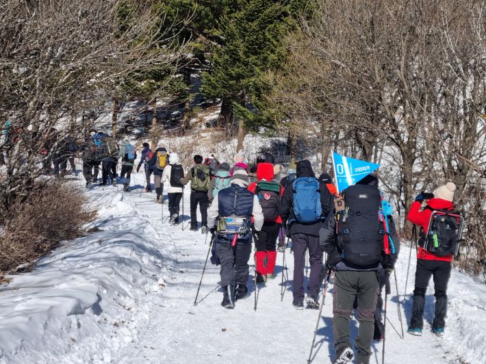 주말걷기에 참가한 시민과 관광객들. 강릉시 제공