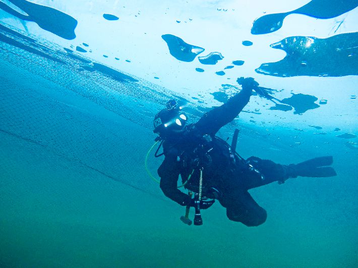 수중 점검반. 화천군 제공
