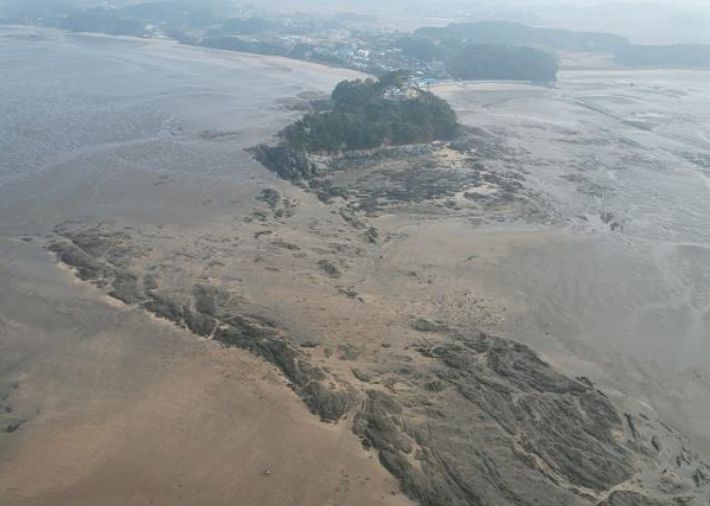 직언도 갯벌. 보령해경 제공