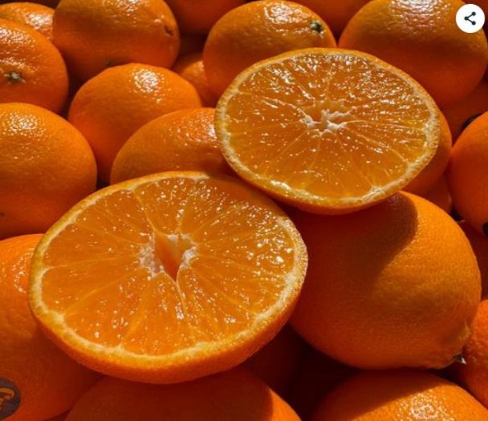 국내 이커머스에서 판매중인 미국산 만다린. 만다린 쇼핑몰 캡처