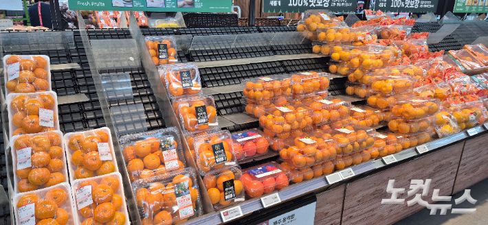 제주도내 대형마트에서 판매중인 감귤들. 박정섭 기자