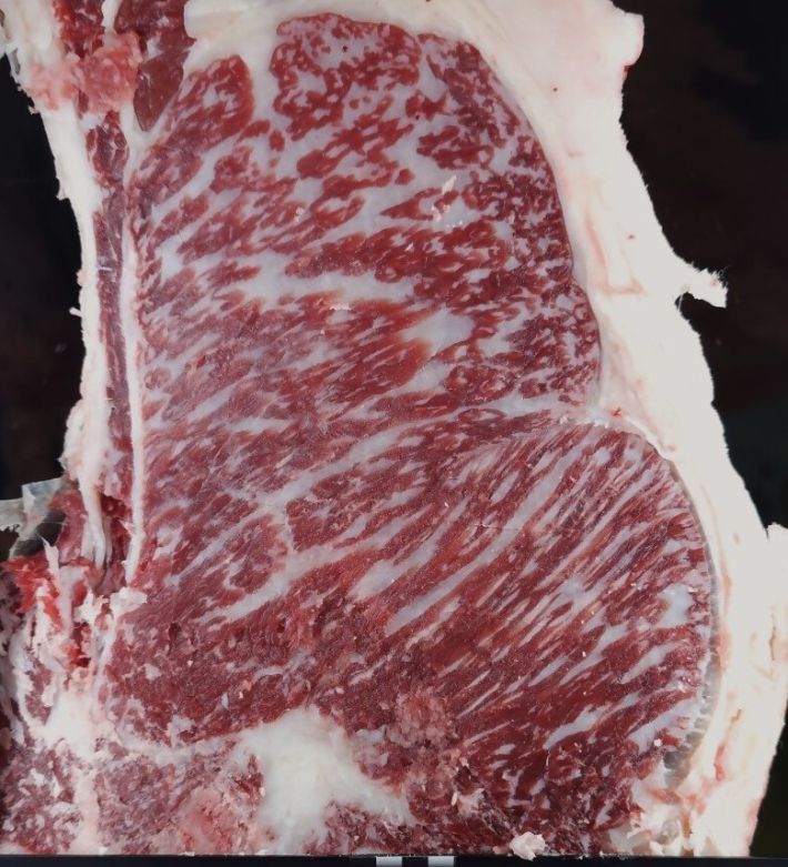 역대 최고치 면적을 경신한 장암영농조합법인의 한우 등심. 농협중앙회 제주본부 제공