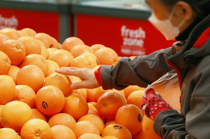 미국산 오렌지. 연합뉴스