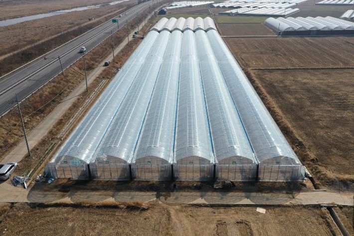 경주지역의 한 농산물 재배 비닐하우스. 경주시 제공