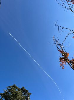 조중의 포항대학교 초빙교수·전직 언론인 제공