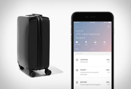 출처=블레스디스스터프