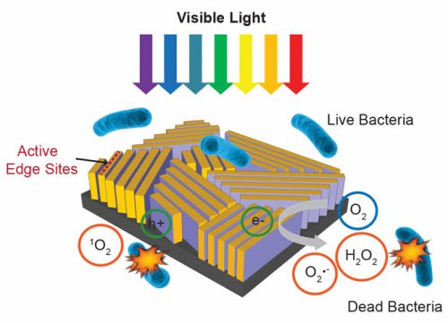 출처=스탠퍼드대