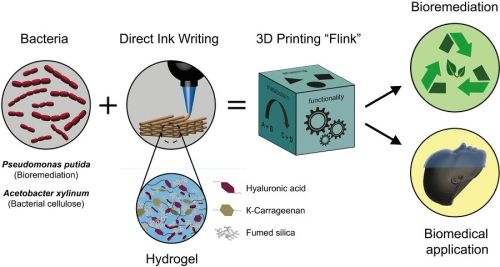 박테리아 3차원(3D) 잉크 치료기술인 바이오레메디에이션 원리. 출처= Manuel Schaffner and Patrick A. Ruhs