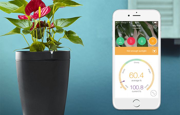 출처=www.designboom.com