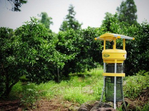 태양광 해충 제거기 ’스마트 트랩’. 출처=영천시청