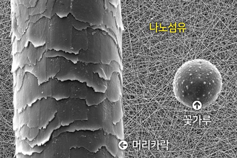 머리카락과 나노 섬유 크기 비교. 출처=리서치게이트(Researchgate)