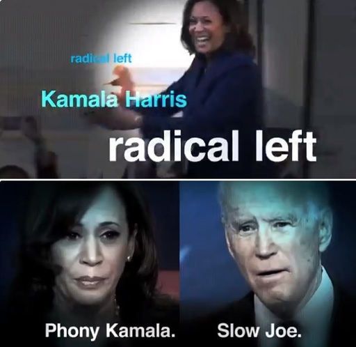 도널드 트럼프 미국 대통령이 11일(현지시간) 트위터에 올린 동영상 일부. 민주당 카멀라 해리스 상원의원을 ‘급진 좌파’라고 비난하면서 해리스 상원의원은 ‘가짜’, 조 바이든 후보는 ‘느림보’라고 각각 비웃었다. 트위터 캡처