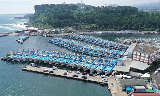 제8호 태풍 '바비(BAVI)'가 우리나라를 향해 북상 중인 24일 오후 제주 서귀포시 서귀포항에 어선들이 남부 먼바다의 높은 파도를 피해 촘촘히 정박해 있다. 뉴시스