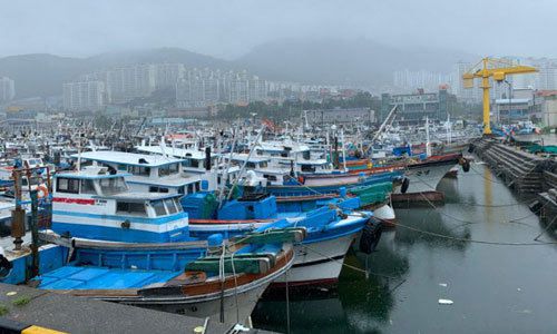 26일 오전 전남 여수 국동항이 북상하는 제8호 태풍 '바비'를 피해 대피한 선박들로 가득찼다. 독자 제공, 뉴스1