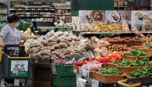 지난 30일 서울의 한 대형마트 채소코너에서 시민들이 채소를 살펴보고 있다. 뉴시스