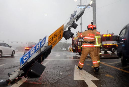 지난 2일 오전 제9호 태풍 '마이삭'이 북상한 가운데 제주국제공항 입구 교차로에서 신호등이 강풍을 이기지 못하고 쓰러졌다. 제주소방안전본부가 안전조치를 하는 모습. 뉴스1