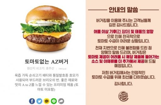 토마토 없는 버거에 대한 버거킹의 공지