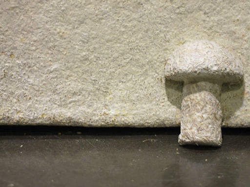 출처=courtesy of Ecovative