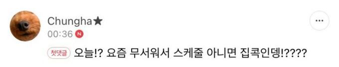 사진=청하 팬카페 캡처