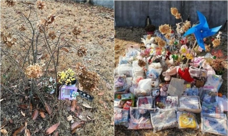 정인양 수목장 초기 모습(왼쪽)과 사건이 알려진 뒤 시민들 선물로 가득한 정인양 수목장 근황. 보배드림 캡처