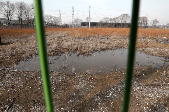 LH직원들이 사들인 경기도 시흥시 과림동 소재 농지에 작물이 매말라 있다. 뉴스1