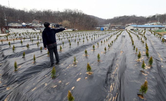 한국토지주택공사(LH)가 LH 직원의 광명시흥 신도시 땅 사전 투기 의혹과 관련해 대국민 사과문을 발표한 4일 경기 시흥시 과림동 일대에 묘목이 식재되어 있다. 시흥=남정탁 기자