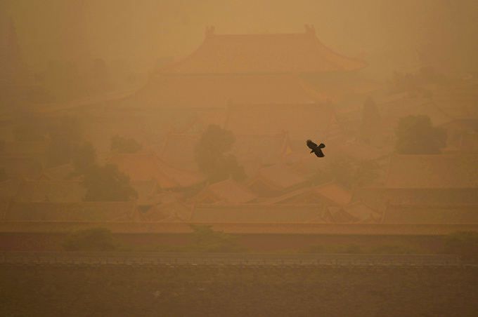 ‘뿌연 자금성’… 中 베이징 10년 만에 최악 황사 15일 중국 베이징 자금성이 몽골에서 날아온 황사에 가려 흐릿하게 보이고 있다. 이날 10년 만에 최악의 황사를 겪은 중국은 지난 양회(4∼11일) 기간에도 코로나19 여파에서 회복한 모습을 과시하고자 공장 단속을 하지 않는 바람에 심각한 대기오염에 시달렸다. 베이징=AFP연합뉴스