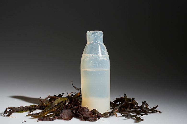 해조류로 만든 친환경 물병. 출처=livingcircular.veolia.com