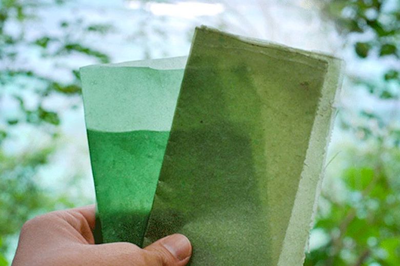 해조류로 만든 생분해 플라스틱. 출처=에보웨어(evoware)