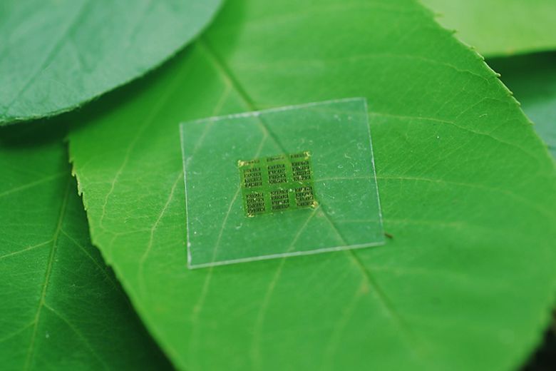나노 셀룰로오스로 만든 컴퓨터 칩. 출처=위스콘신대