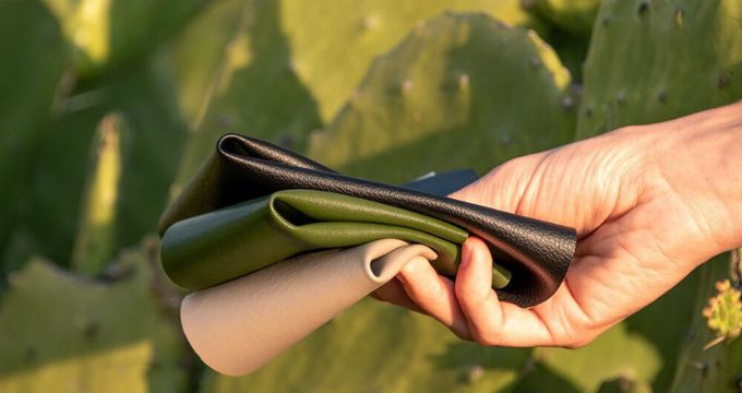 선인장으로 만든 ‘비건 가죽’. 출처=squarespace.com